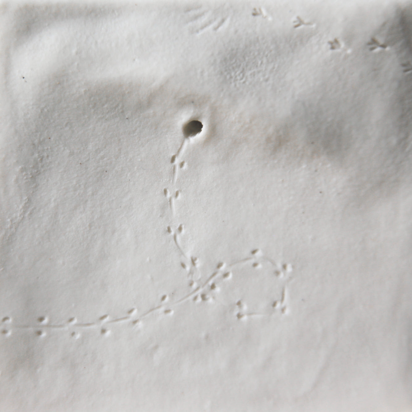 A Fleeting Presence / Porcelain Wall Art