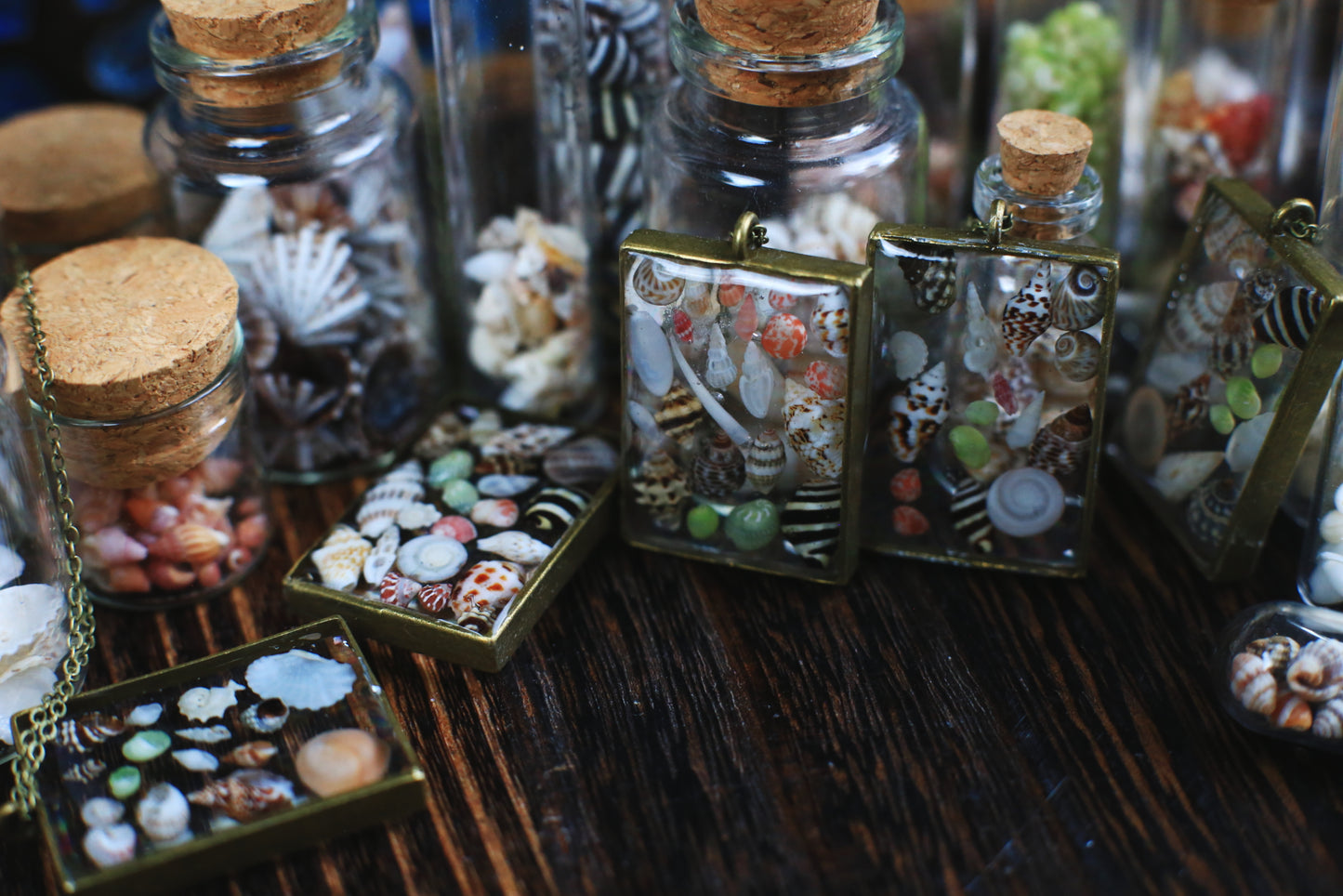 Beachcombing Collection / Mini Seashells Pendant