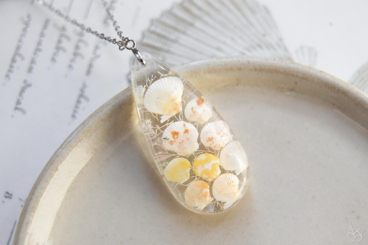 Pectinidae maximus / Pendant with scallop seashells from Okinawa, Japan