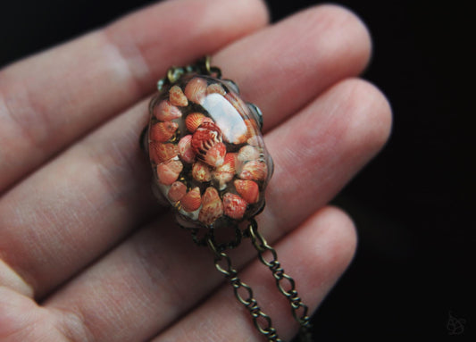 Les Rouges / Bracelet with pheasant seashells from Brittany, France
