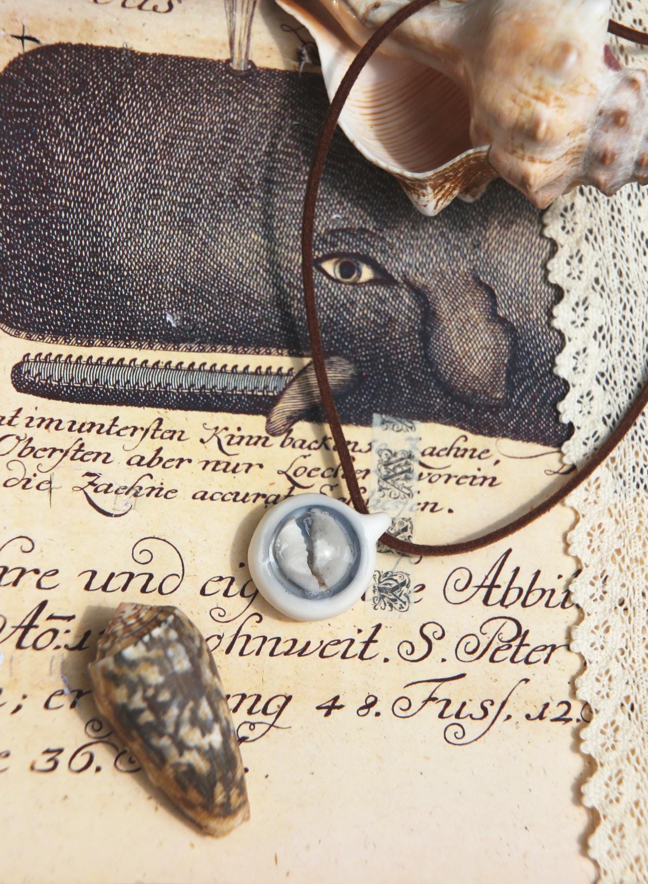 Cowry / Porcelain Pendant