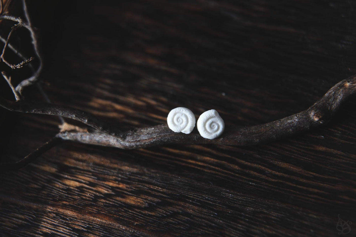 Ammonites / Porcelain Earrings