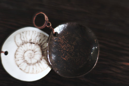 Ammonoidea / Porcelain Earrings
