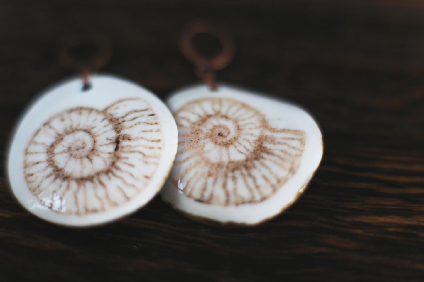 Ammonoidea / Porcelain Earrings