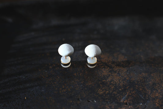 Shell Capsules /Porcelain and Gold Seashell Earrings