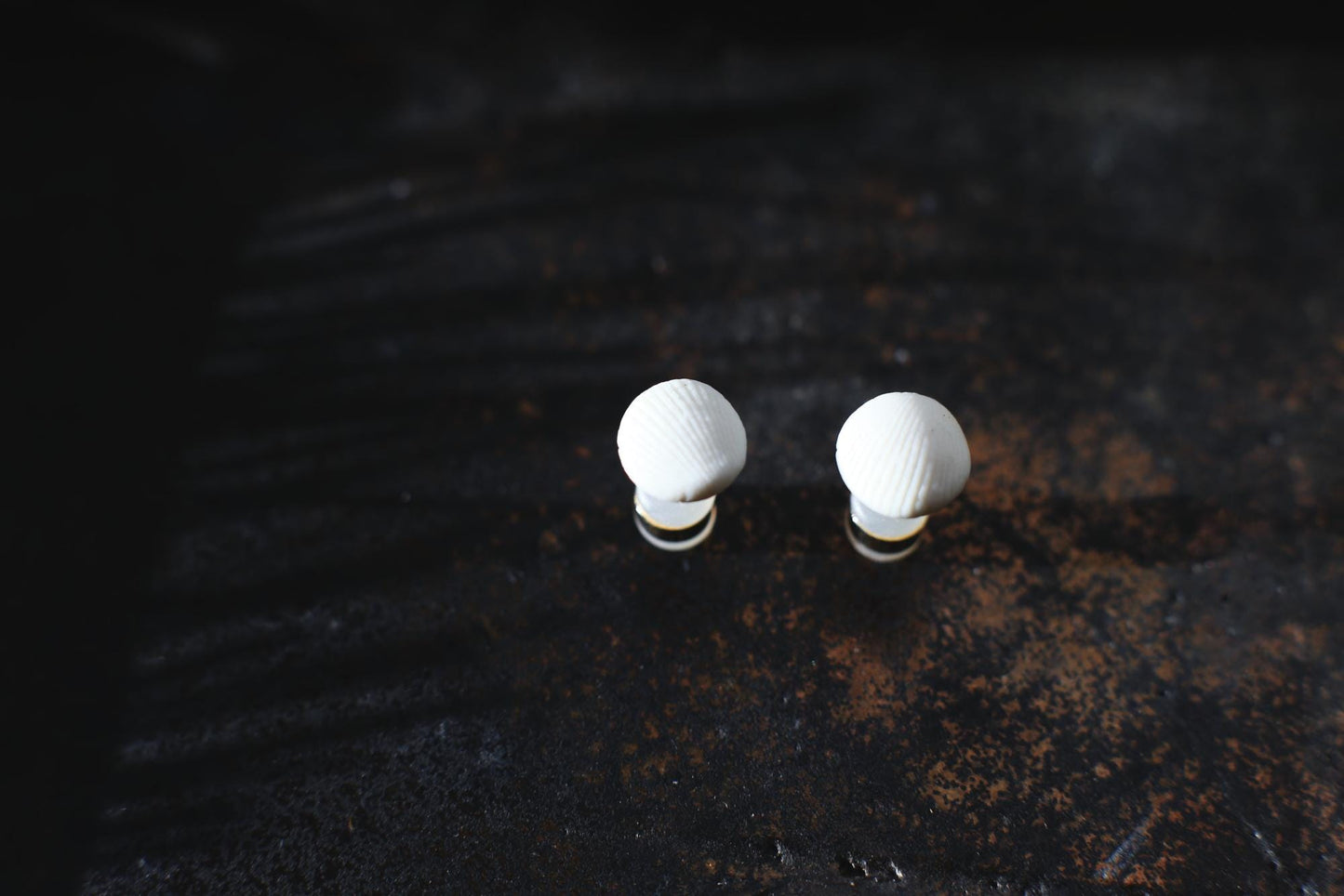 Shell Capsules /Porcelain and Gold Seashell Earrings