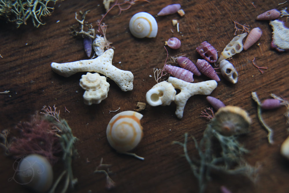 Nature collection