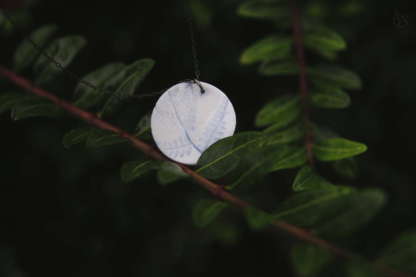 Cleft Ferns / Porcelain Earrings and Necklace