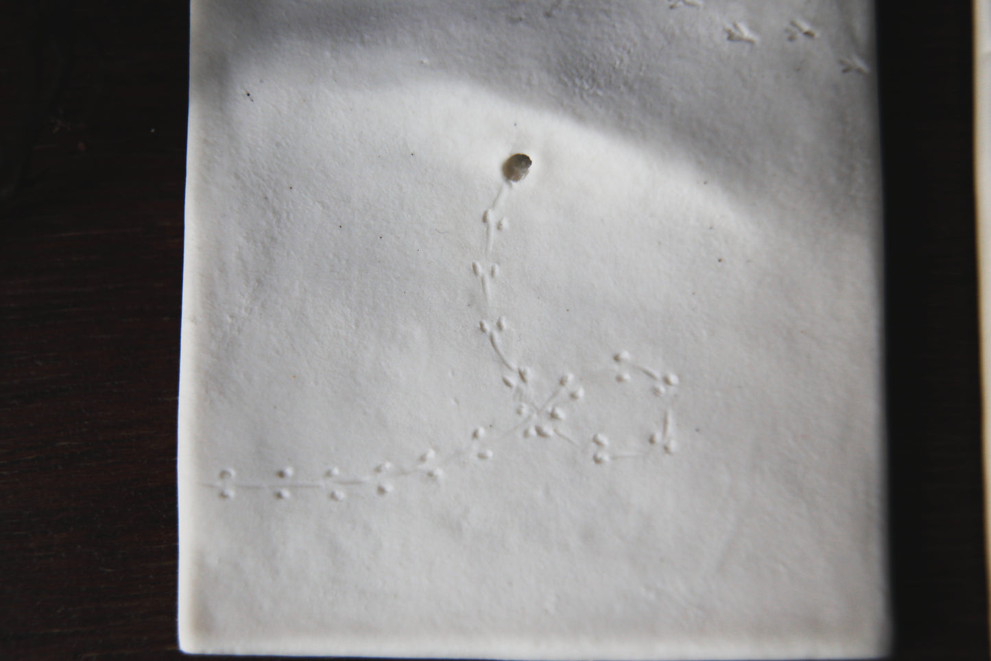 A Fleeting Presence / Porcelain Wall Art