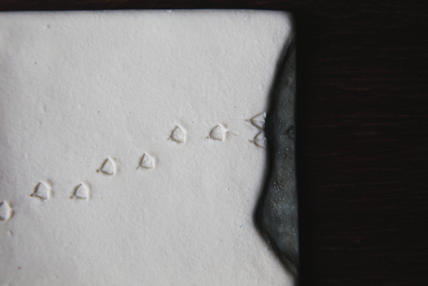 A Fleeting Presence / Porcelain Wall Art