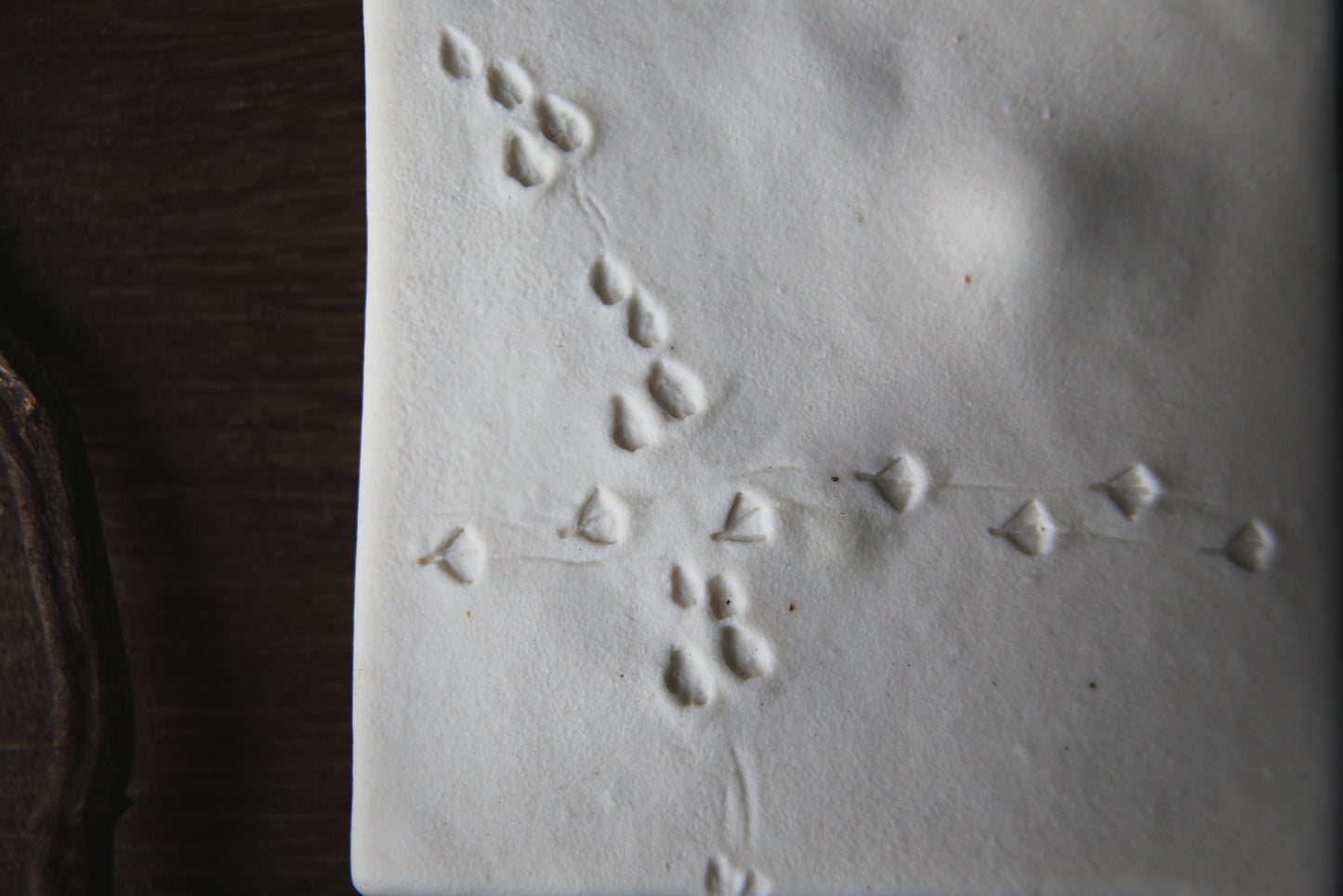 A Fleeting Presence / Porcelain Wall Art