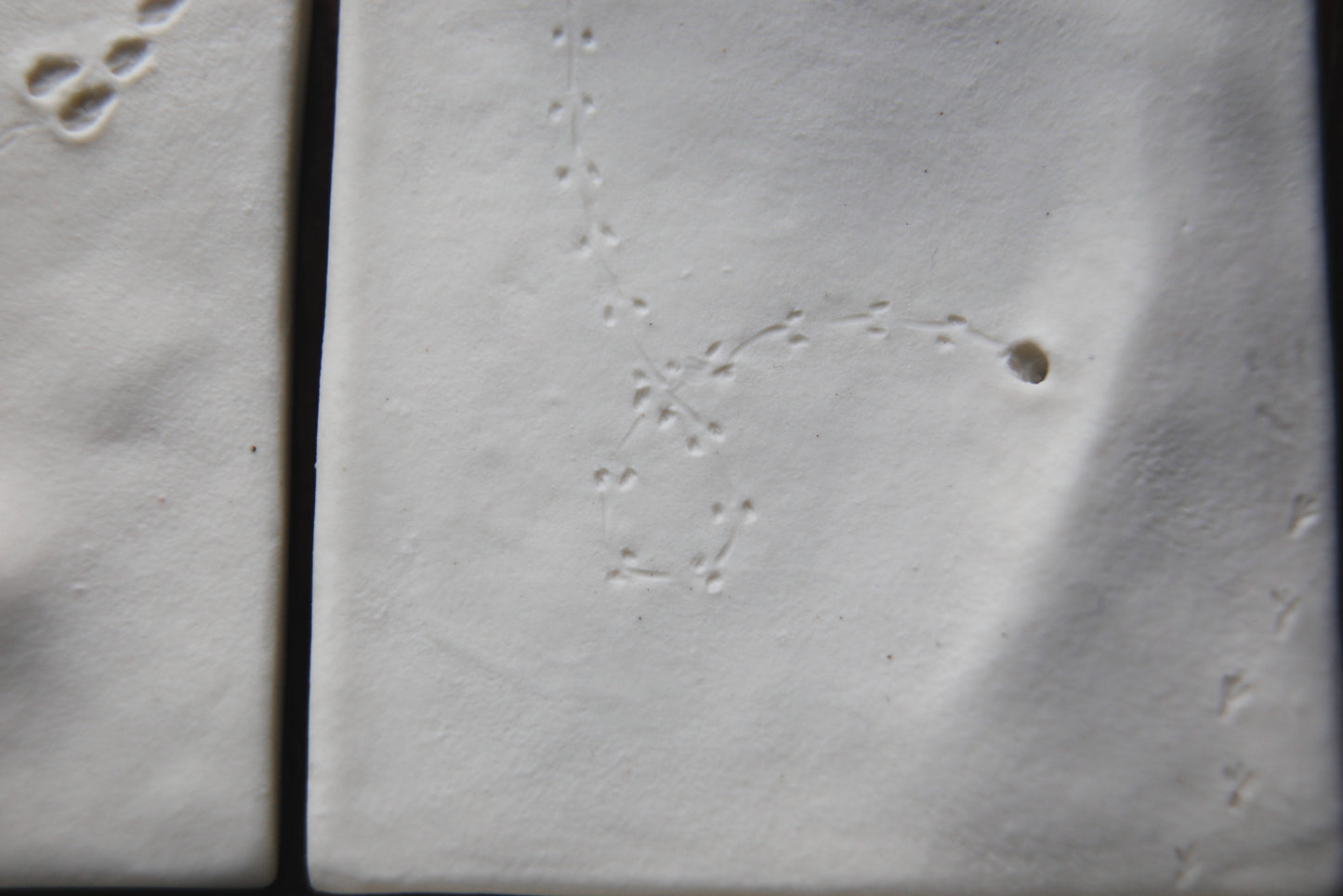 A Fleeting Presence / Porcelain Wall Art