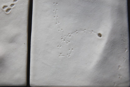 A Fleeting Presence / Porcelain Wall Art