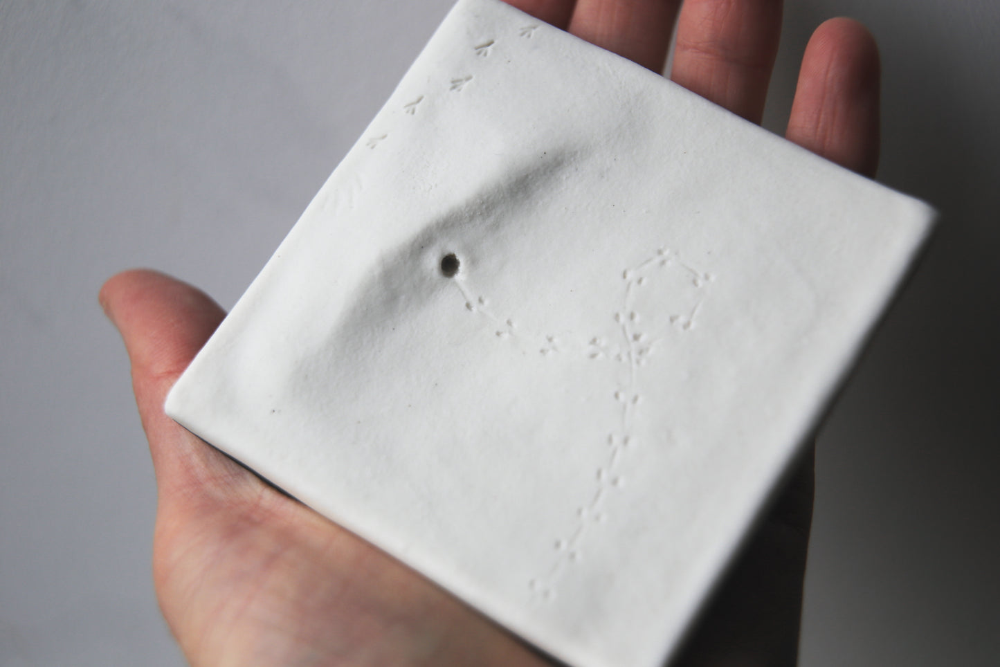 A Fleeting Presence / Porcelain Wall Art