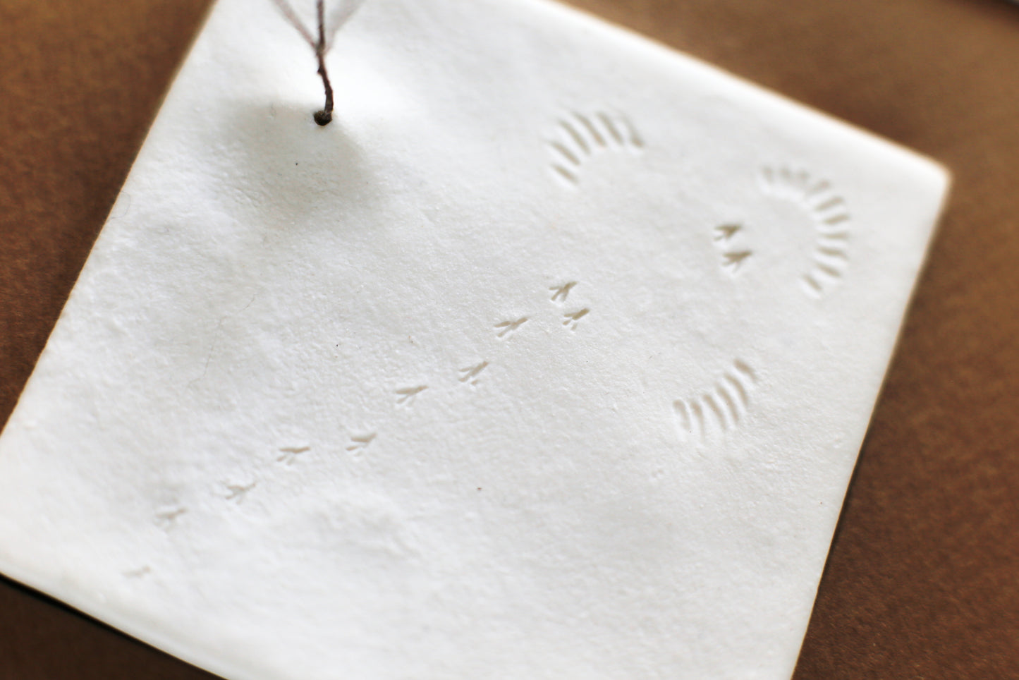 A Fleeting Presence / Porcelain Wall Art