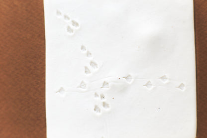 A Fleeting Presence / Porcelain Wall Art
