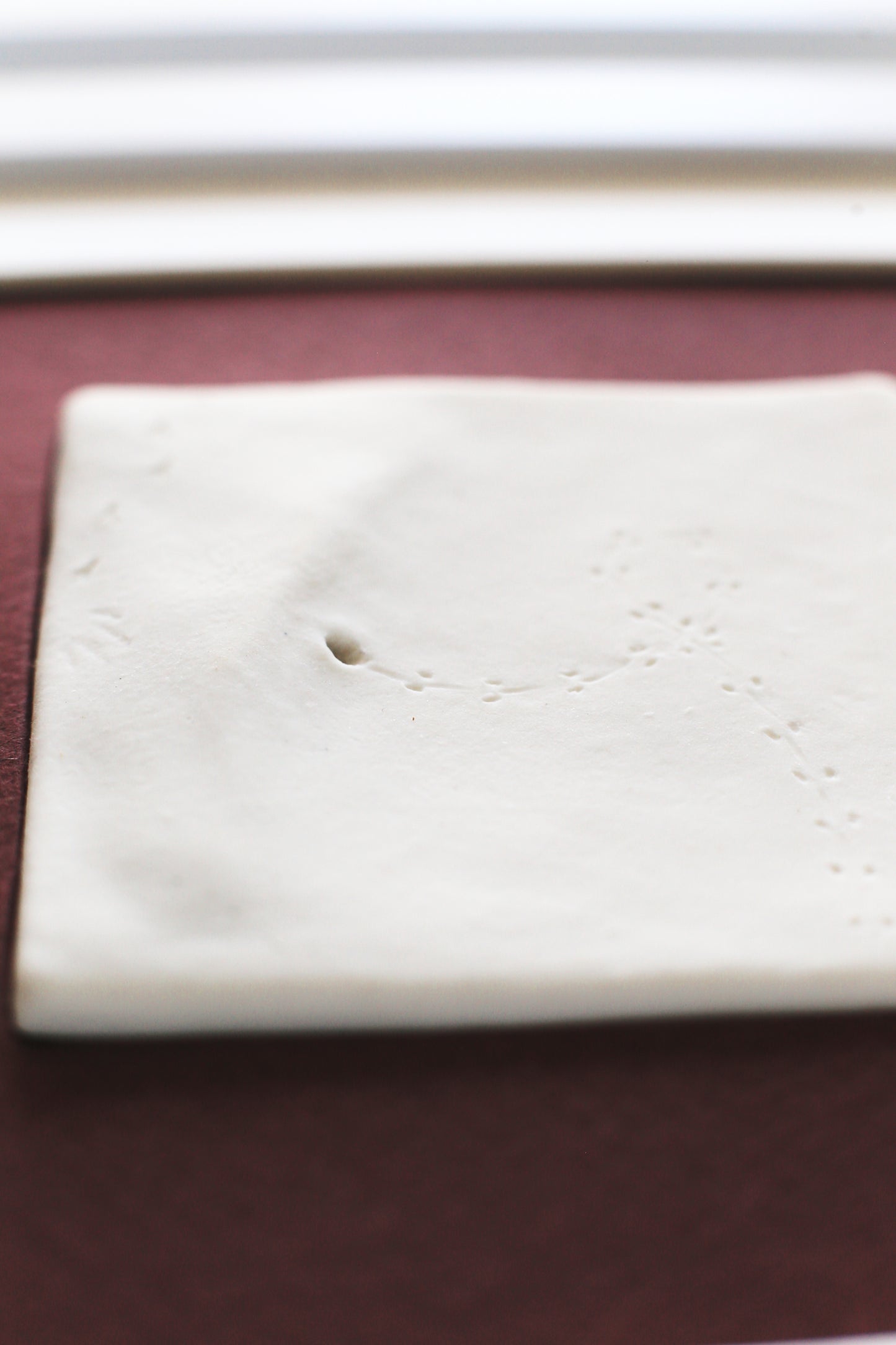A Fleeting Presence / Porcelain Wall Art