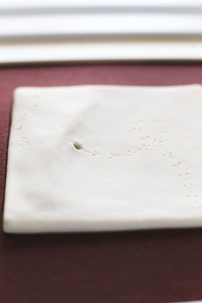 A Fleeting Presence / Porcelain Wall Art