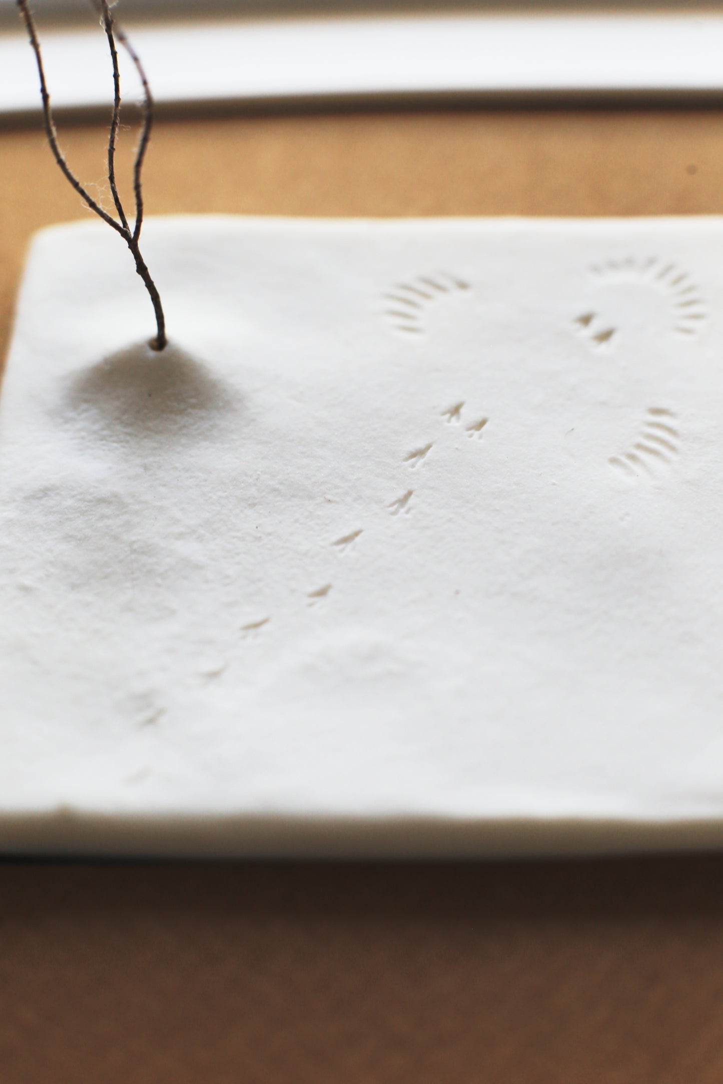 A Fleeting Presence / Porcelain Wall Art