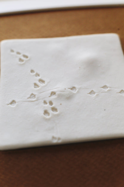 A Fleeting Presence / Porcelain Wall Art