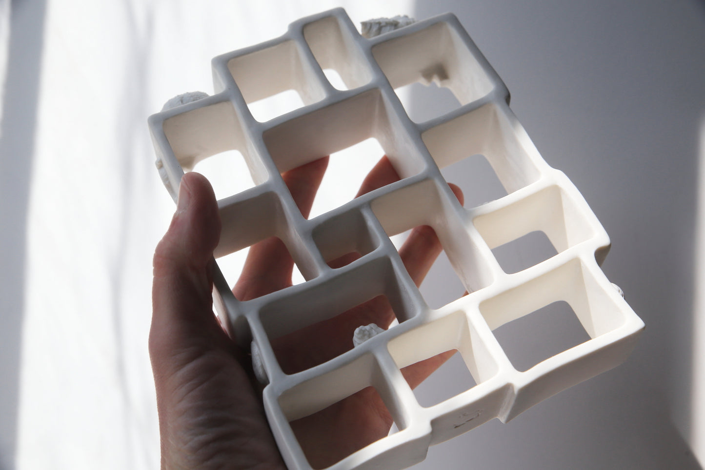 Trompe l'oeil / Porcelain Curiosity Cabinet
