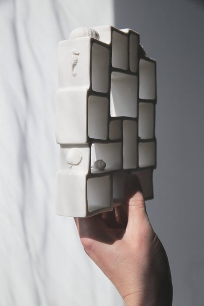 Trompe l'oeil / Porcelain Curiosity Cabinet