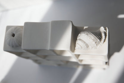 Trompe l'oeil / Porcelain Curiosity Cabinet