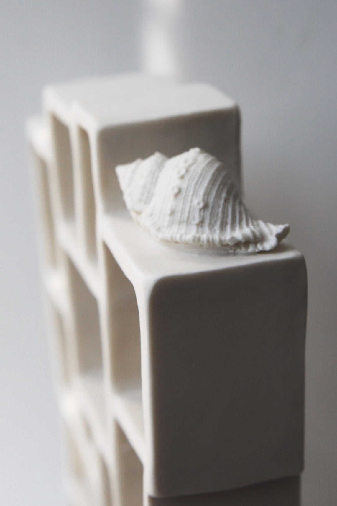 Trompe l'oeil / Porcelain Curiosity Cabinet