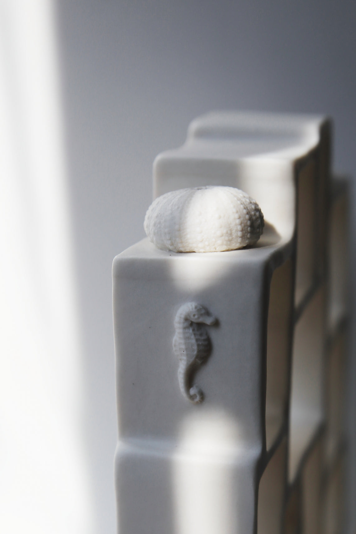 Trompe l'oeil / Porcelain Curiosity Cabinet