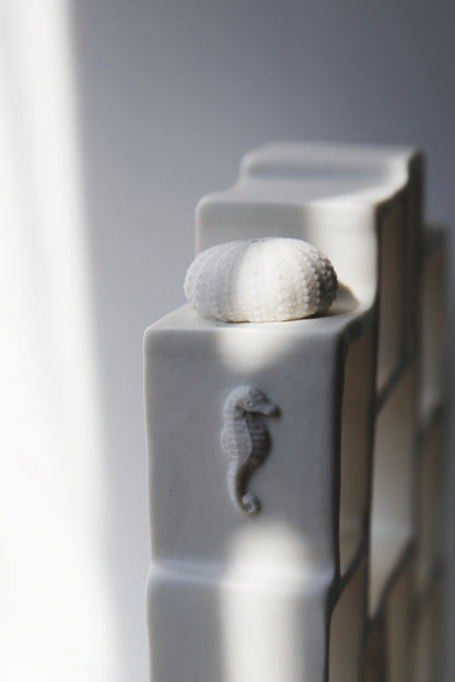 Trompe l'oeil / Porcelain Curiosity Cabinet