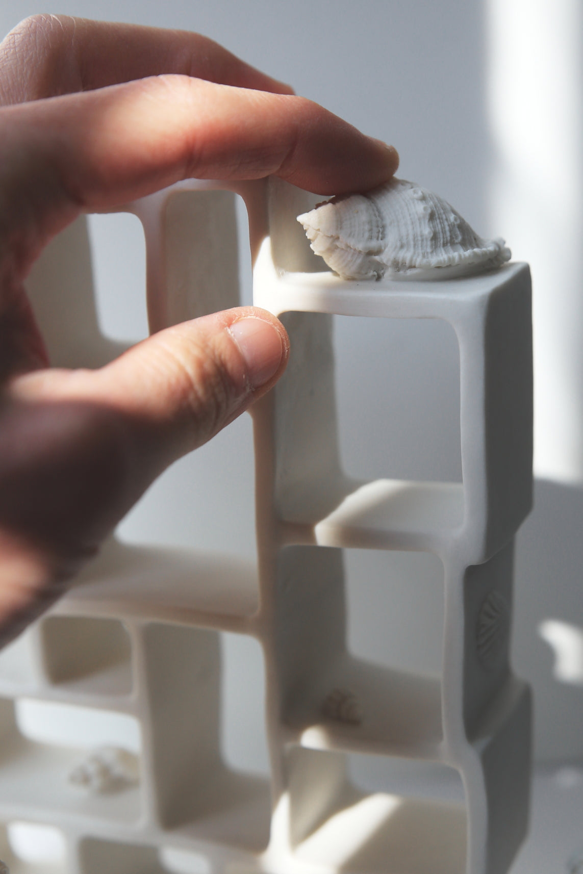 Trompe l'oeil / Porcelain Curiosity Cabinet