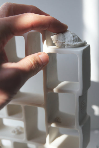 Trompe l'oeil / Porcelain Curiosity Cabinet