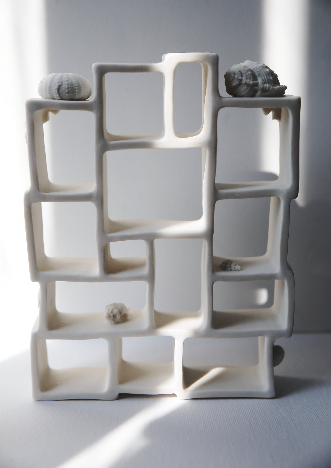 Trompe l'oeil / Porcelain Curiosity Cabinet