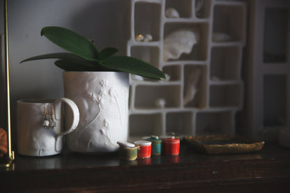 Memory for Details / Porcelain Miniature Boxes