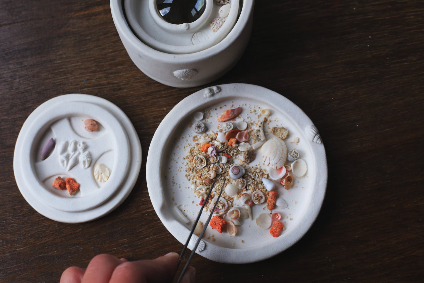 Tri Caché / Miniature Beachcombing set in Porcelain