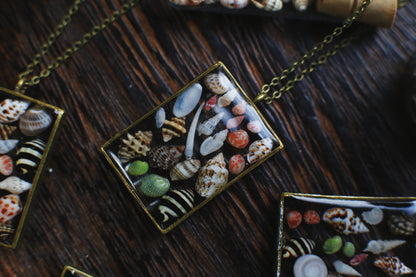 Beachcombing Collection / Mini Seashells Pendant
