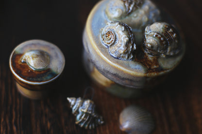 As found / Porcelain Jewellery Box