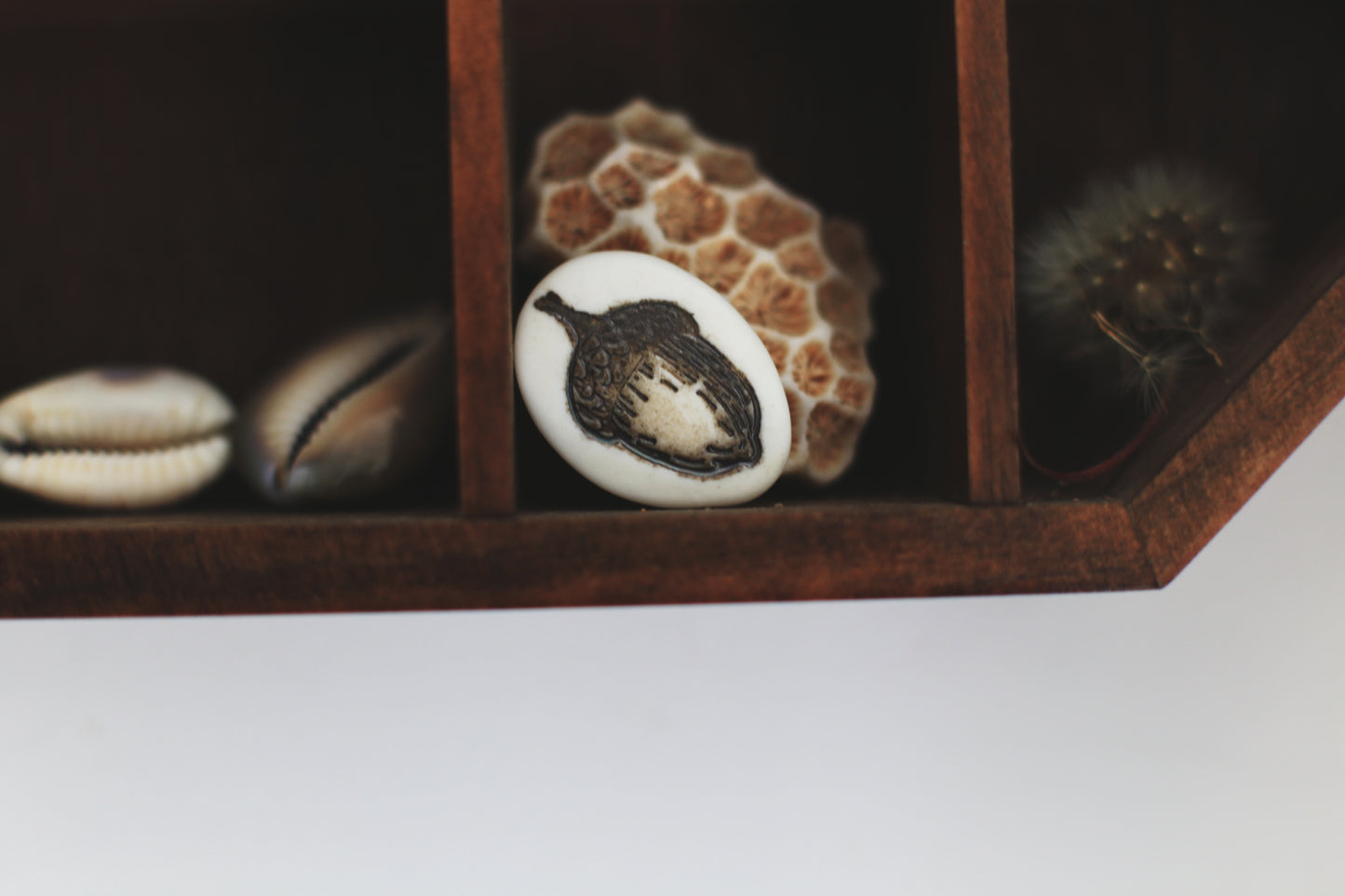 Order of the Oak / Porcelain Brooch