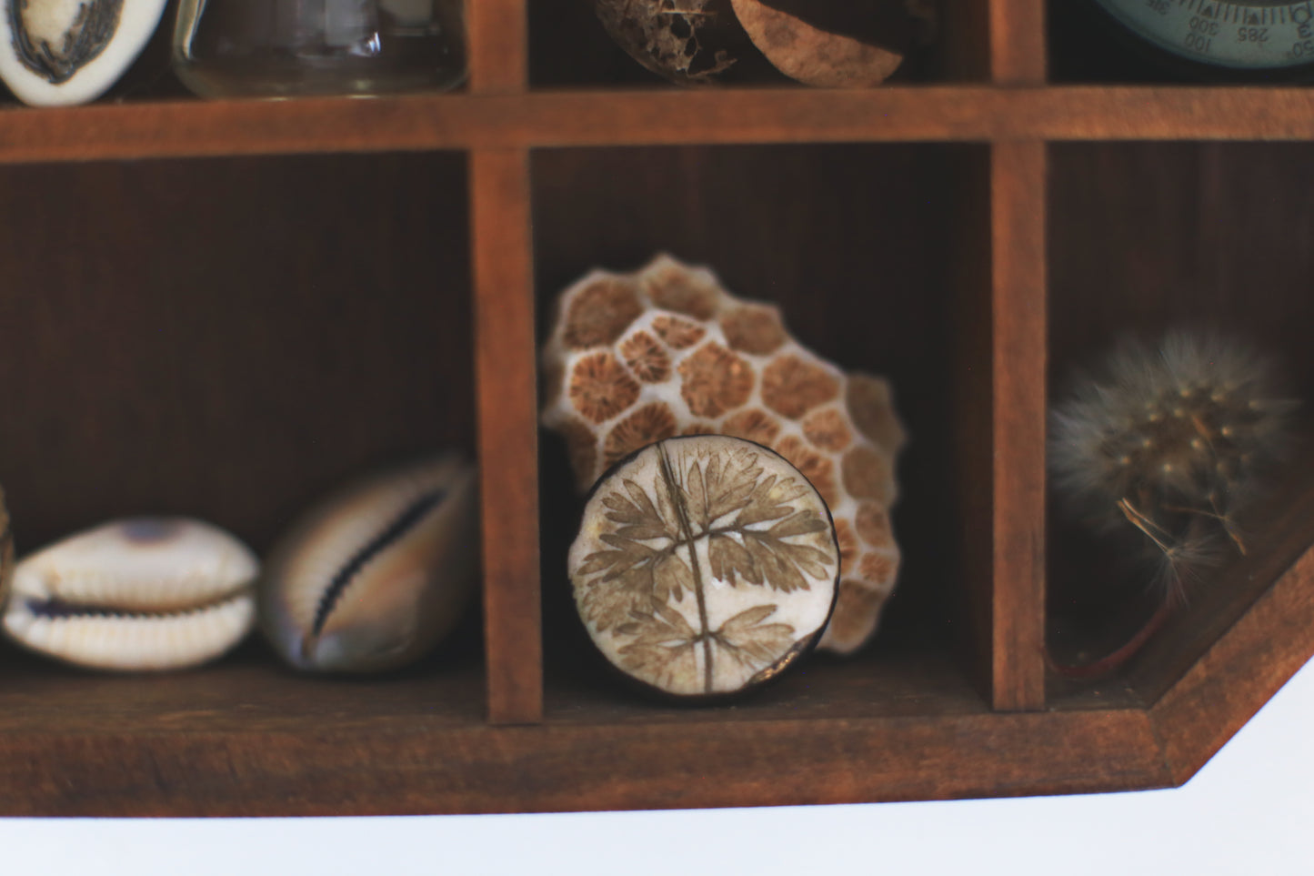 Herbal / Porcelain Brooch