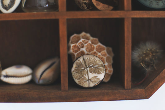 Herbal / Porcelain Brooch