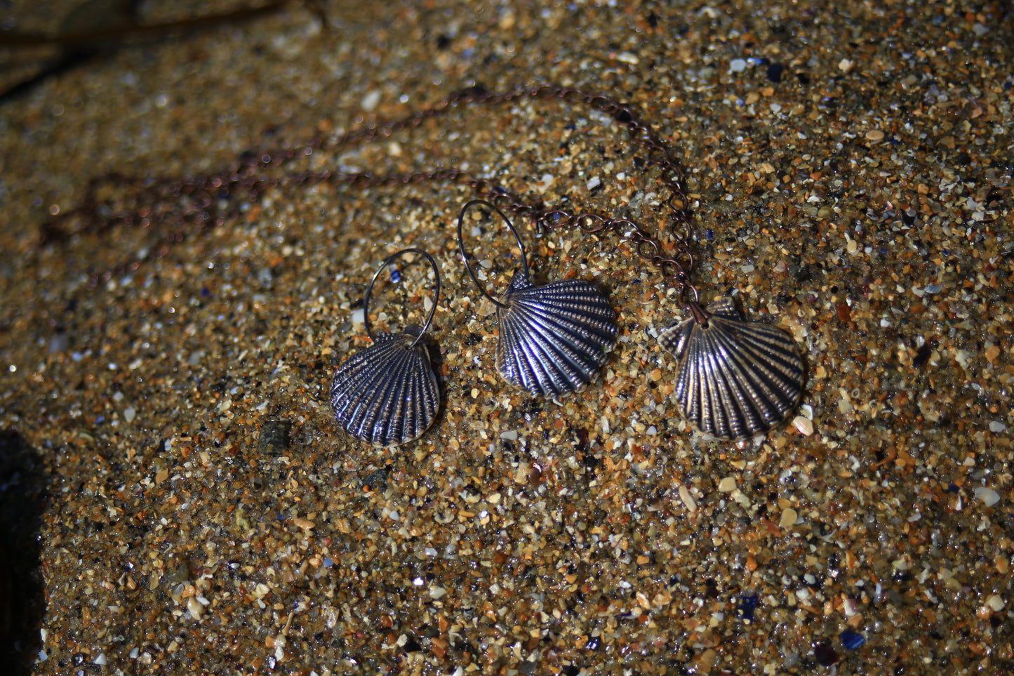 Bronze Scallops