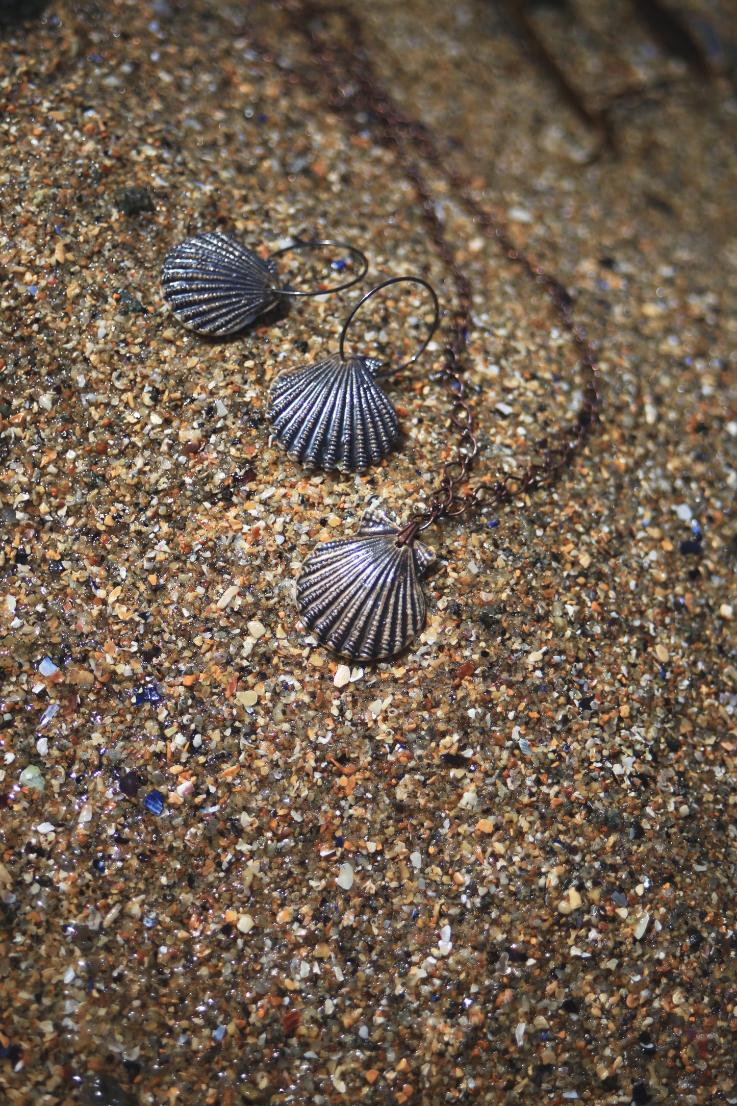 Bronze Scallops