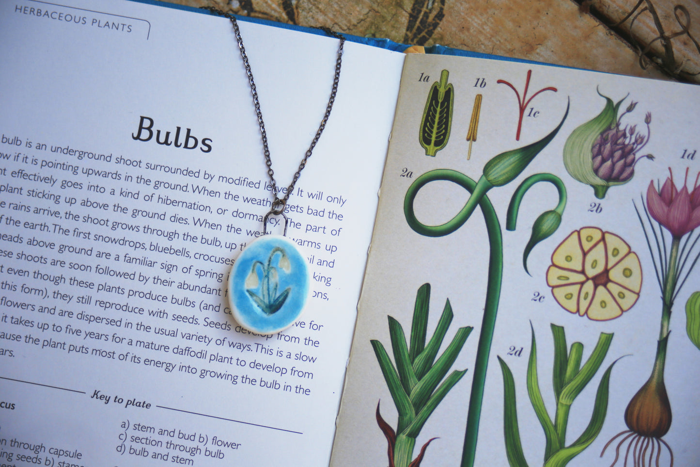 Drops / Porcelain pendant.