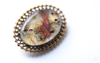 Butterfly Dream Brooch / Seashells and Seaweed from Scotland
