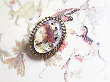 Butterfly Dream Brooch / Seashells and Seaweed from Scotland