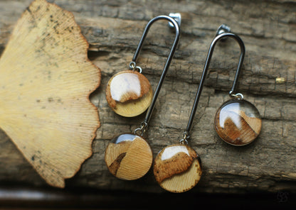 Plains / Ginkgo leaves earrings