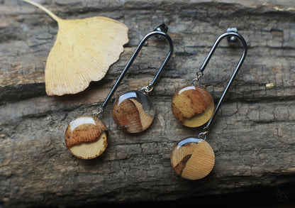 Plains / Ginkgo leaves earrings