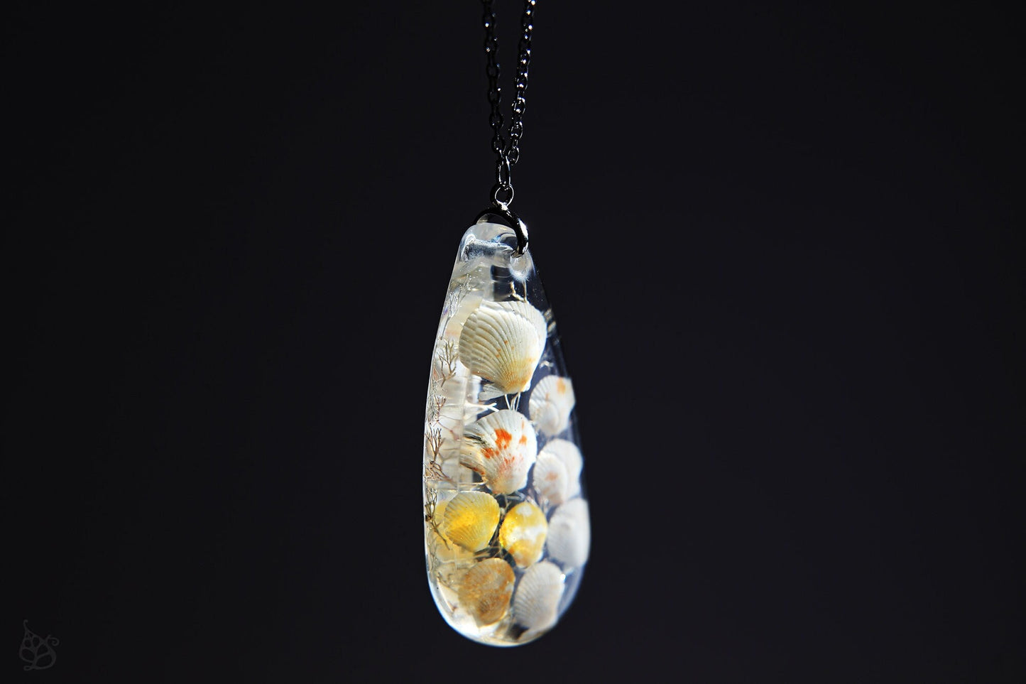 Pectinidae maximus / Pendant with scallop seashells from Okinawa, Japan
