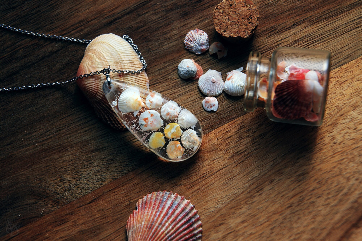 Pectinidae maximus / Pendant with scallop seashells from Okinawa, Japan