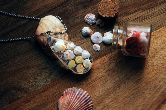 Pectinidae maximus / Pendant with scallop seashells from Okinawa, Japan